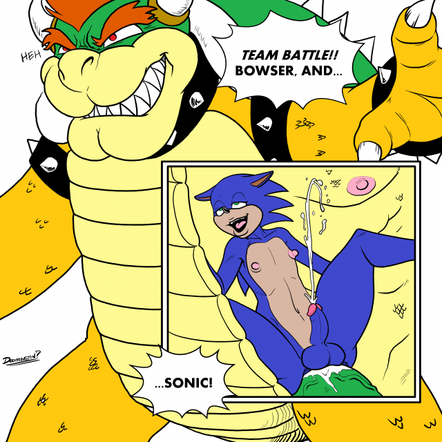 bowser+koopa+sonic the hedgehog