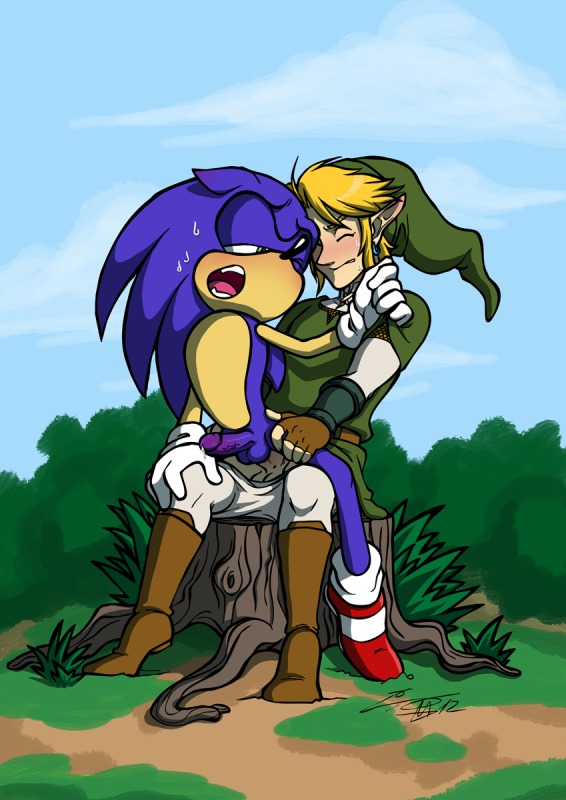 link+sonic the hedgehog