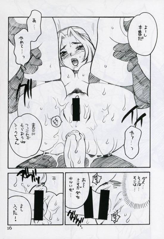 princess zelda+sheik