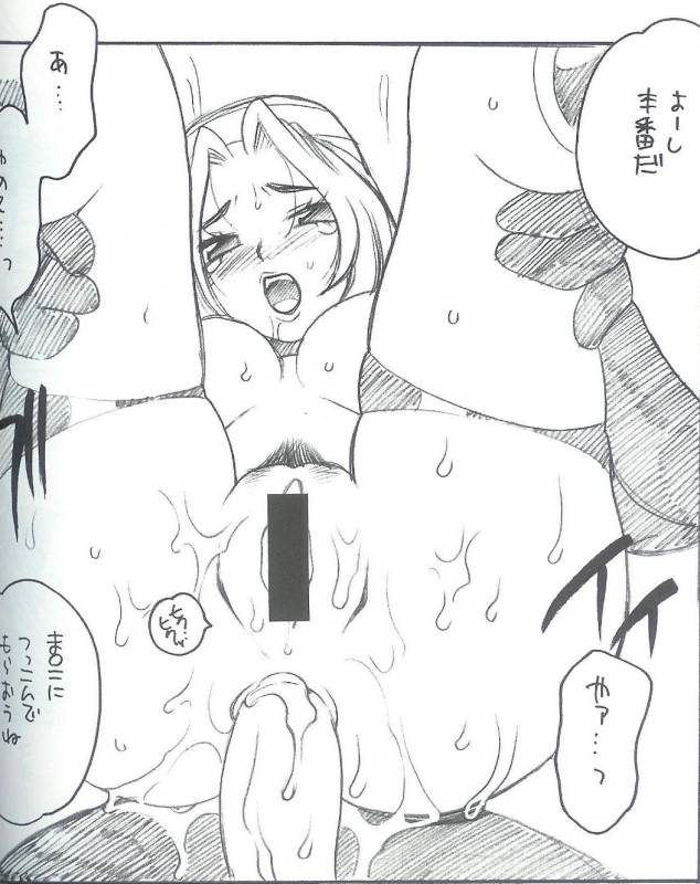 princess zelda+sheik