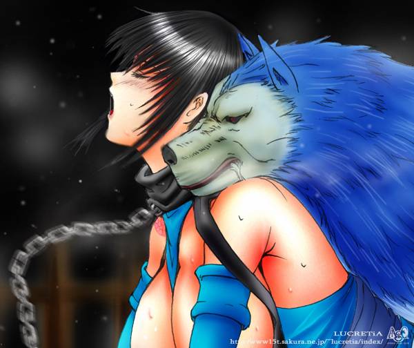 shiki (samurai shodown)